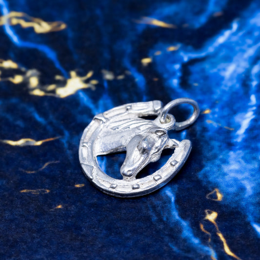 A silver horse pendant within a horseshoe frame, on a blue background.
