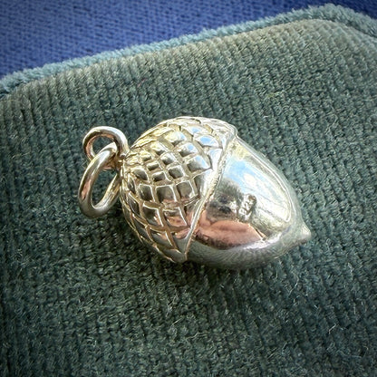 Silver acorn pendant on a textured green surface