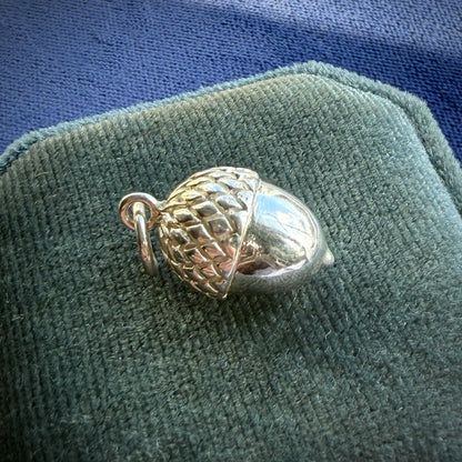 Silver acorn-shaped charm on a green velvet cushion with a blue background
